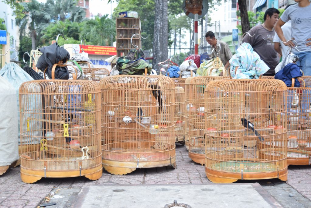 PET STREETS in Ho Chi Minh - Saigon on Bikes | Motorbike Food Tours