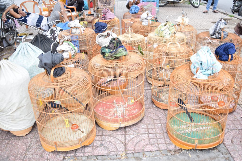 PET STREETS in Ho Chi Minh - Saigon on Bikes | Motorbike Food Tours